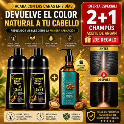 Recupera un cabello joven y cubre las canas desde casa  Negro🖤 Natural  500 ml por bote.